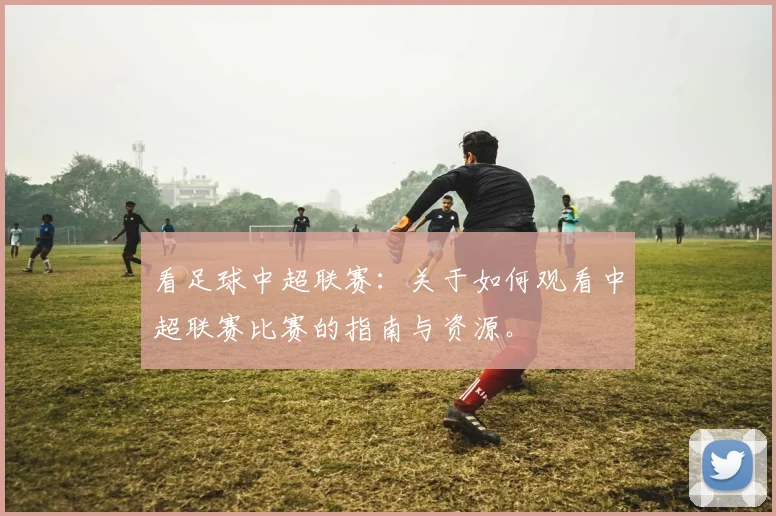 看足球中超联赛：关于如何观看中超联赛比赛的指南与资源。