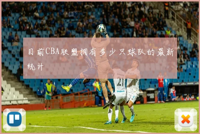 目前CBA联盟拥有多少只球队的最新统计