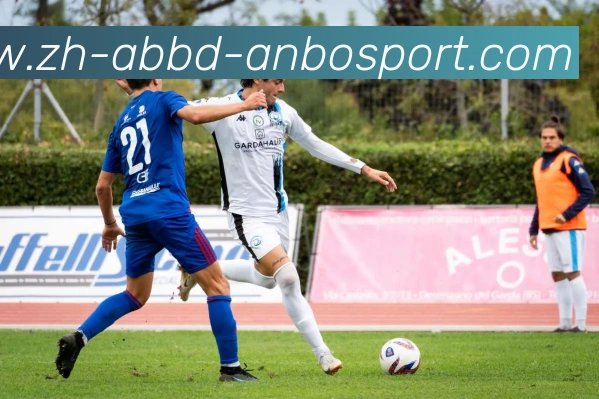 安博体育服务体系