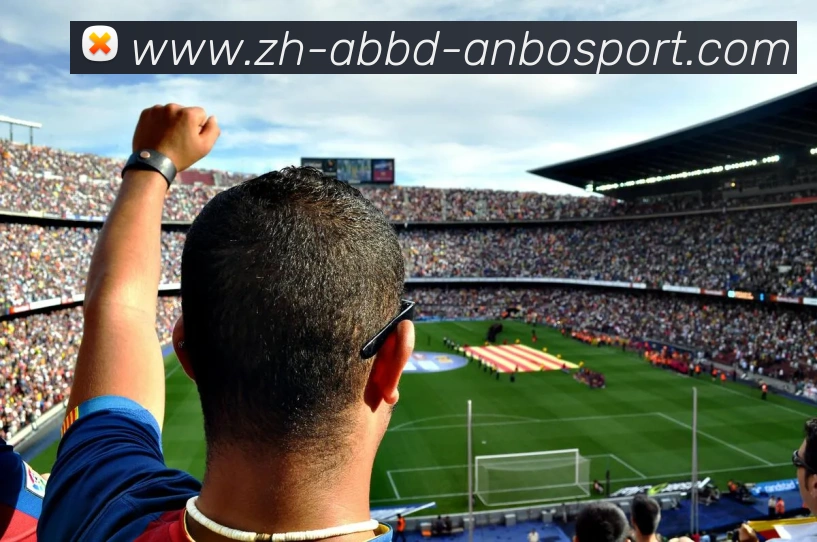 安博体育APP 高清赛事图